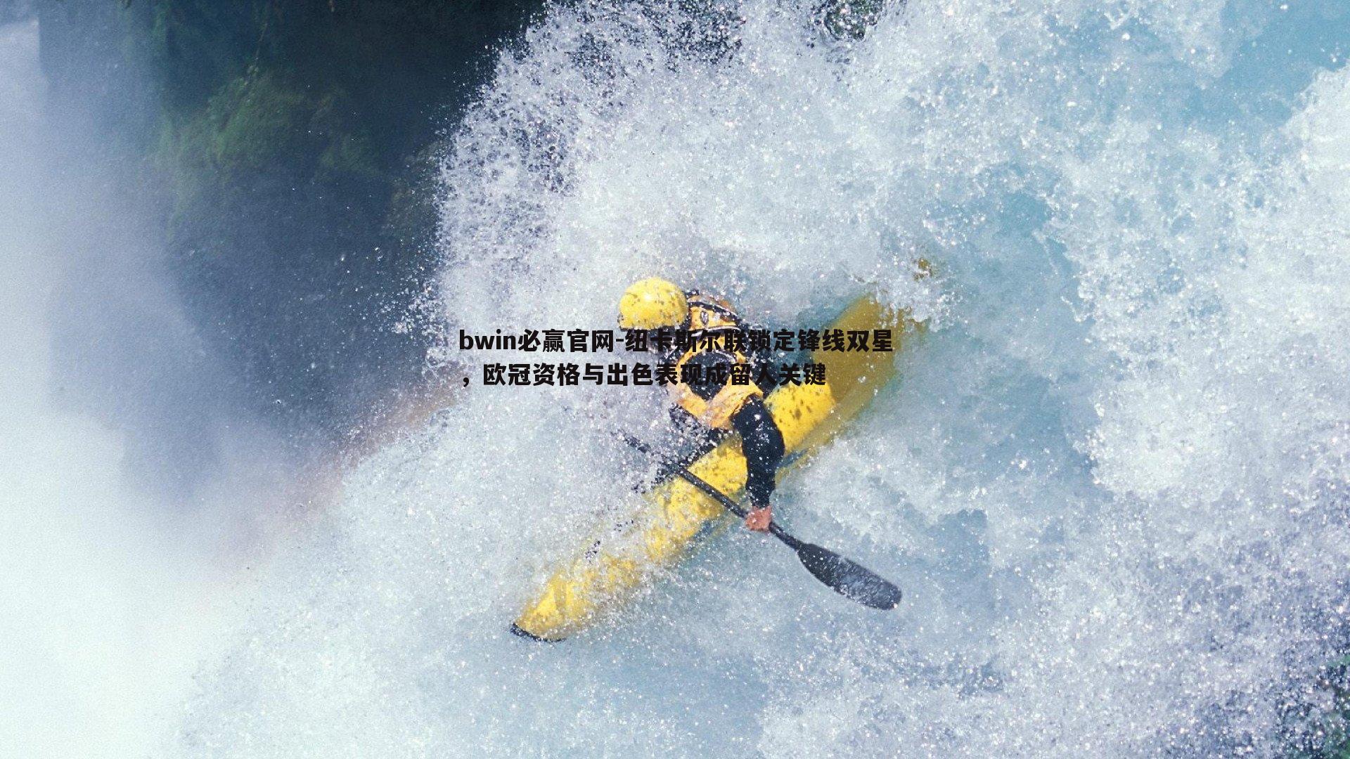 bwin必赢官网-纽卡斯尔联锁定锋线双星，欧冠资格与出色表现成留人关键-第2张图片-bwin必赢官网